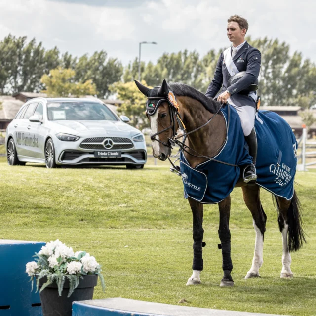 Niektoré kone pod kapotu neskryjeme 🏇
Tieto majestátne zvieratá ste mohli vidieť na pretekoch v @xbionicsphere 🏨
Príďte zažiť silu žrebcov, ktoré majú pod kapotou naše vozidlá do nášho nového showroomu na Panónskej 31 už dnes! ⭐

 #mbpanonska #MercedesBenz #mercedes #benz #Showroom #jazdeckepreteky #xbionic